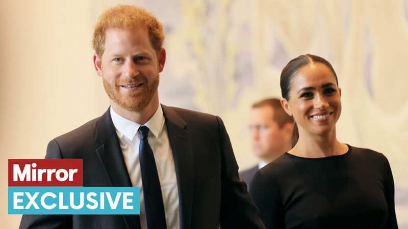 Prince Harry and Meghan Markle were seen on the red carpet at the premiere of 