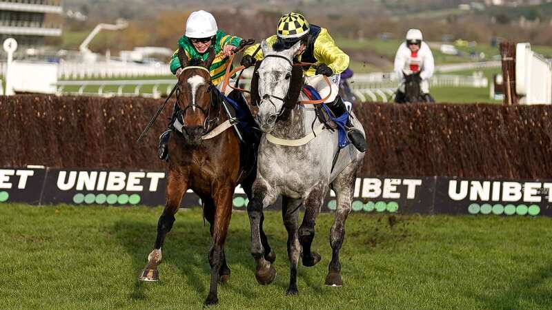 Jonbon (left) is beaten by Elixir De Nutz at Cheltenham in the Clarence House Chase (Image: Getty Images)
