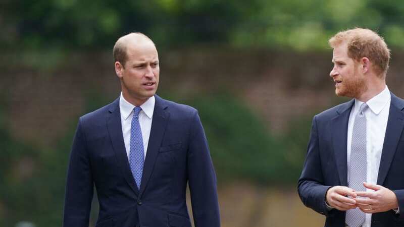 Estranged brothers Prince William and Prince Harry (Image: Getty Images)