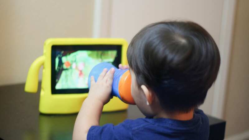 The teen begged parents not to over-rely on iPads (Stock Image) (Image: Getty)