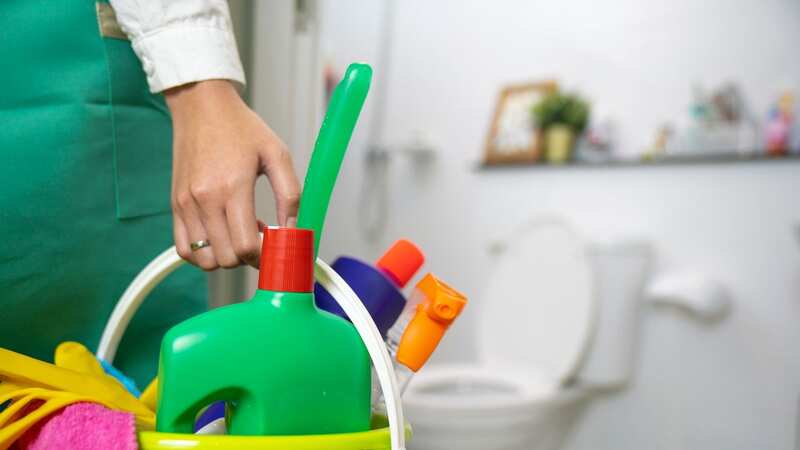 Mrs Hinch has shared her simple and cheap toilet cleaning hack (Image: Getty Images)
