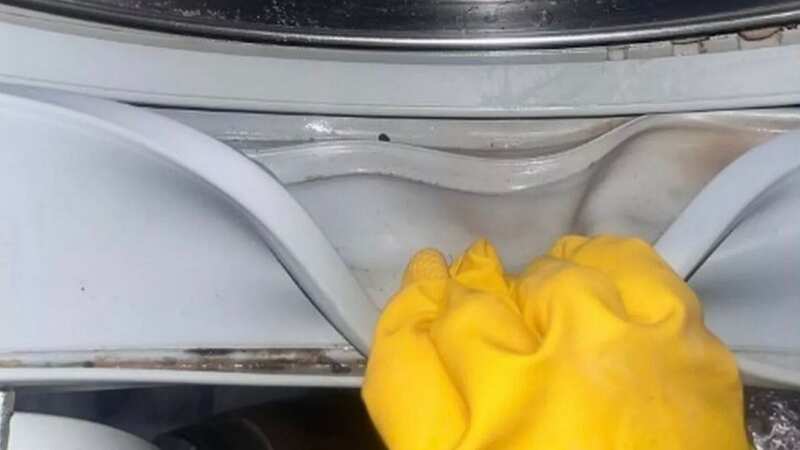 Lucy tried two household products to clean her washing machine (Image: Daily Record)