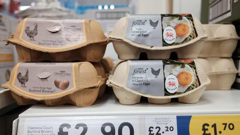 The watchdog is investigating whether supermarket loyalty pricing is misleading or unfair (Image: PA Archive/PA Images)