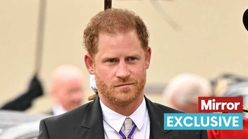 Prince Harry has been given a warning (Image: 2023 Getty Images)