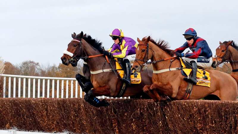 Colonel Harry (right) finished second to Le Patron (purple cap) in the Betfair Henry VIII Novices Chase (Image: RACINGFOTOS.COM)