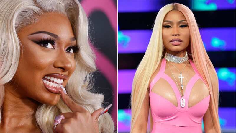 Nicki and Megan have been spatting on social media for years now (Image: Getty Images)