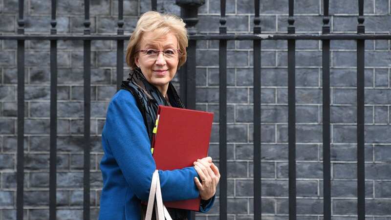 Dame Andrea Leadsom said businesses would have to "adapt" after the introduction of new post-Brexit checks (Image: PA Archive/PA Images)