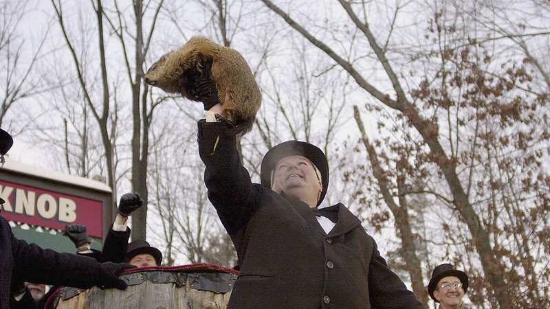 Punxsutawney Phil the weather forecasting groundhog is presented to the crowd (Image: Getty Images)