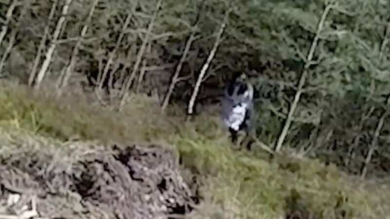Cannock Chase may be home to a horrifying ghost, stalking members of the public in the area (Image: YouTube/FuriousOtter)