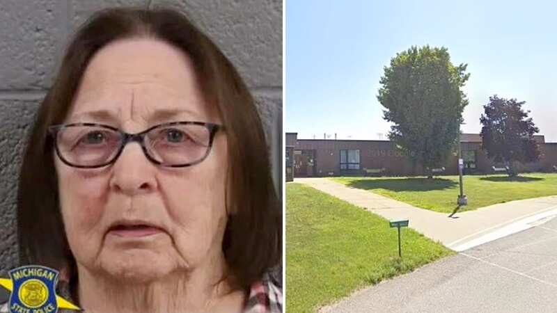 Sue Ann Asch retired in September last year (Image: Michigan State Police)