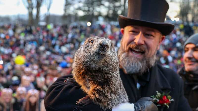 Punxsutawney Phil makes annual prediction on Groundhog Day in front of crowds