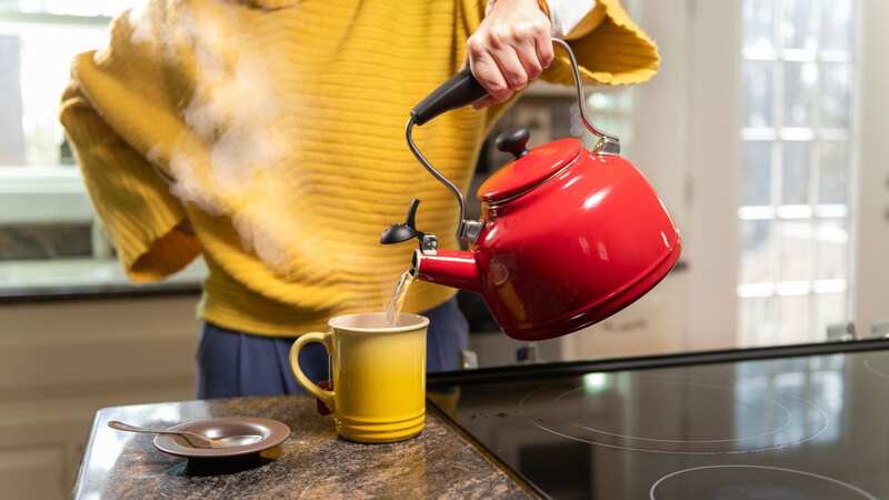 Not having enough water in your kettle can have dangerous consequences (Image: Getty Images)