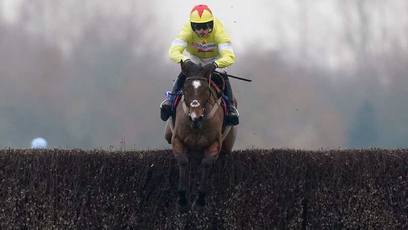 Hermes Allen won four times and was the favourite for a race at the 2023 Cheltenham Festival (Image: PA)