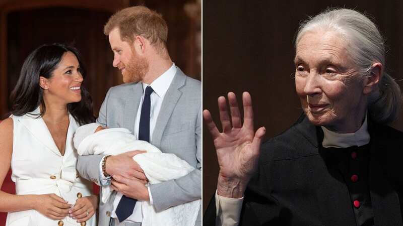 Harry and Meghan welcomed son Archie in 2019