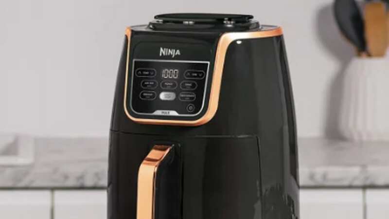 You can get your hands on this popular Ninja air fryer for a lot less (Image: Ninja)