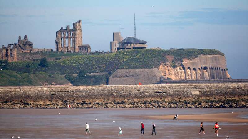 South Shields was condemned by the Telegraph (Image: Newcastle Chronicle)
