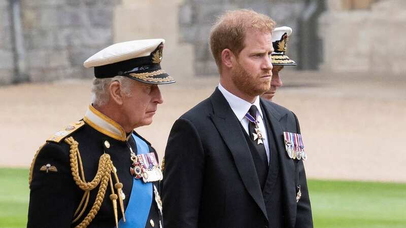 Prince Harry with his father King Charles (Image: POOL/AFP via Getty Images)