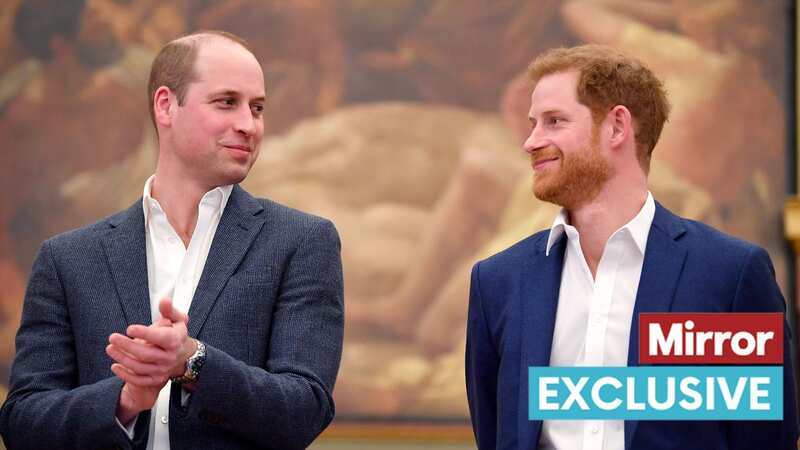 Prince William and Prince Harry have been urged to forget their feud (Image: Getty Images)