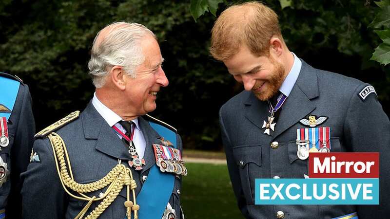 King Charles and Prince Harry have had a turbulent time