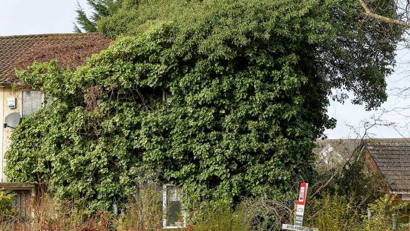 The house house has been swallowed up by nature - but is available for a bargain price (Image: SWNS)
