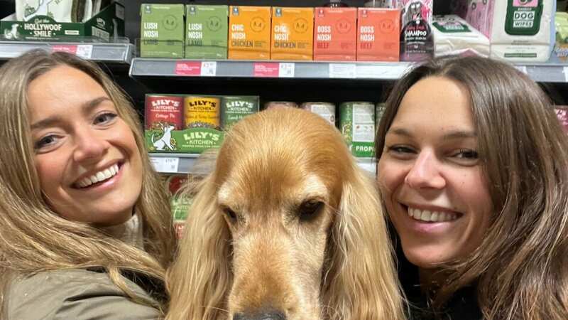 Marley, the dog behind Marleybones, with his range of food in Waitrose (Image: Instagam/Marleybones)