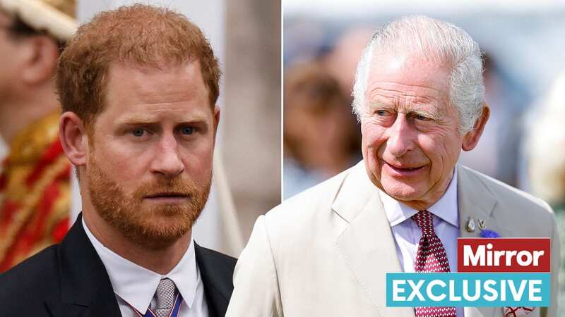 Prince Harry and King Charles seem to be mending their relationship (Image: getty)