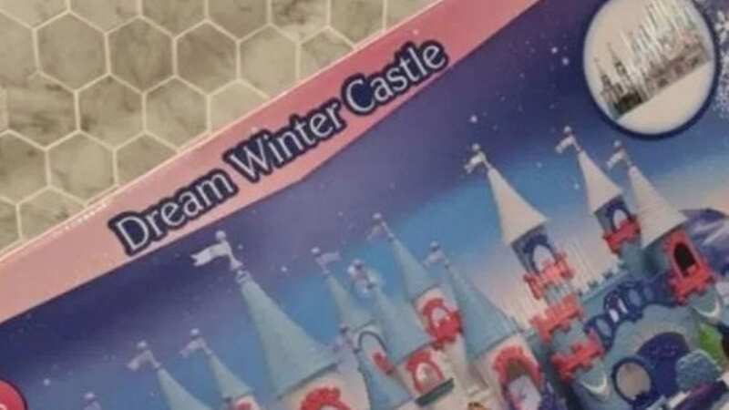 The contents of the castle set were unexpected... (Image: Facebook)