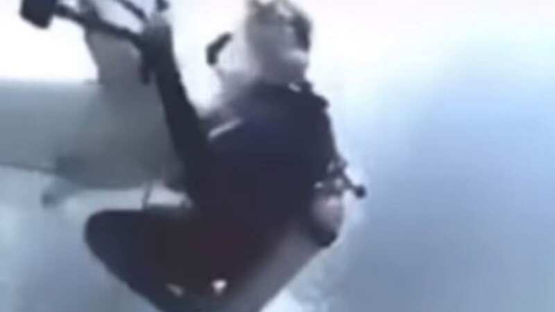 Shark attack horror sees rampaging predator attack divers in sickening frenzy