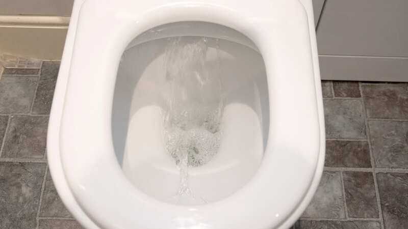 Best to think twice before flushing the loo... (Stock photo) (Image: SWNS)