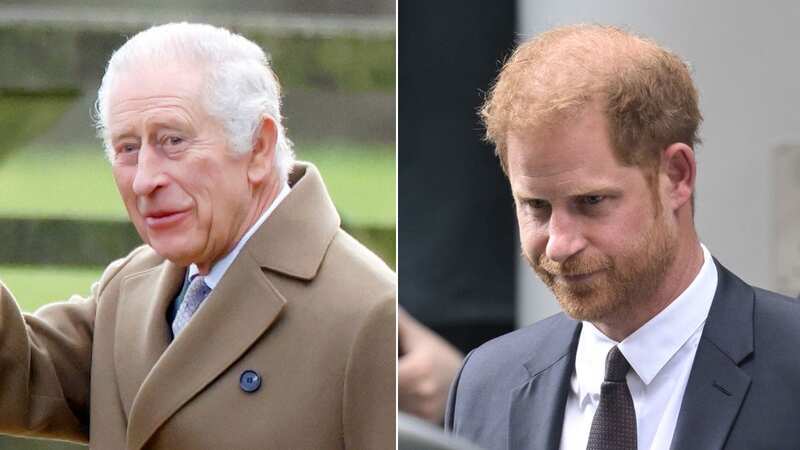 King Charles only saw Prince Harry for 30 minutes 