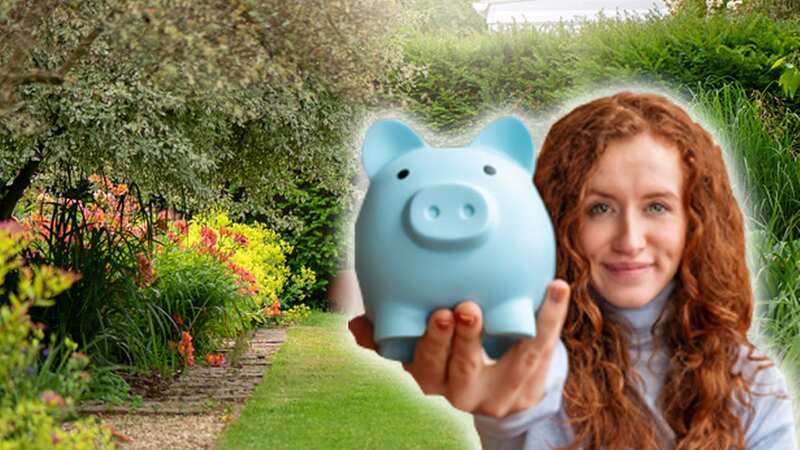 Transforming your garden needn