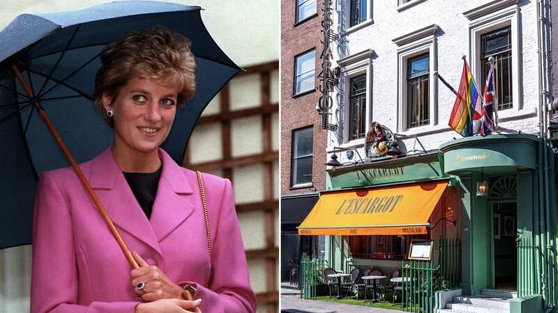 Princess Diana regularly visited L