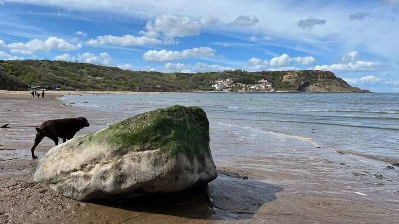 Runswick Bay in Yorkshire was named one of the 