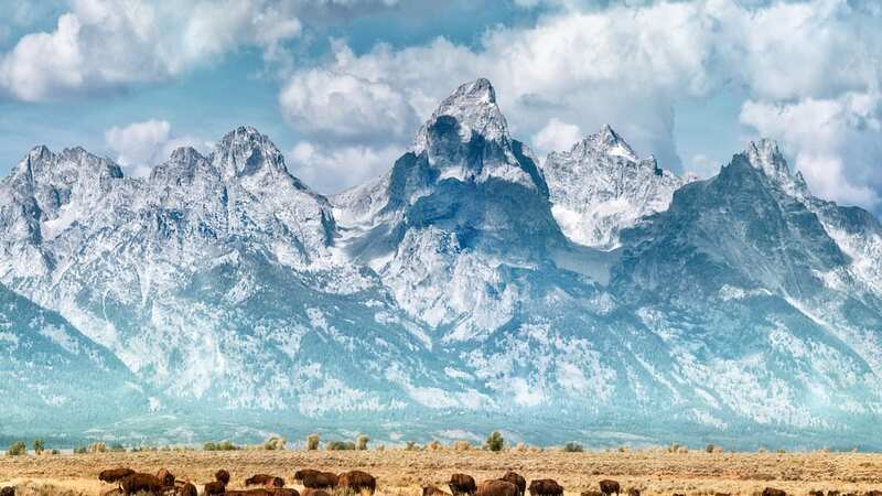 Famous for its natural beauty, Montana has become the focus of Mexican drug cartels bringing misery and addiction to many (Image: Getty Images)