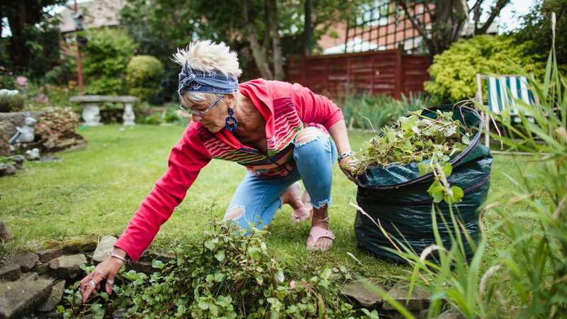 Clearing weeds can be a time-consuming business, which is why so many reach for the weedkiller - but there are alternative, more natural, ways to get rid of them (Image: Getty Images)