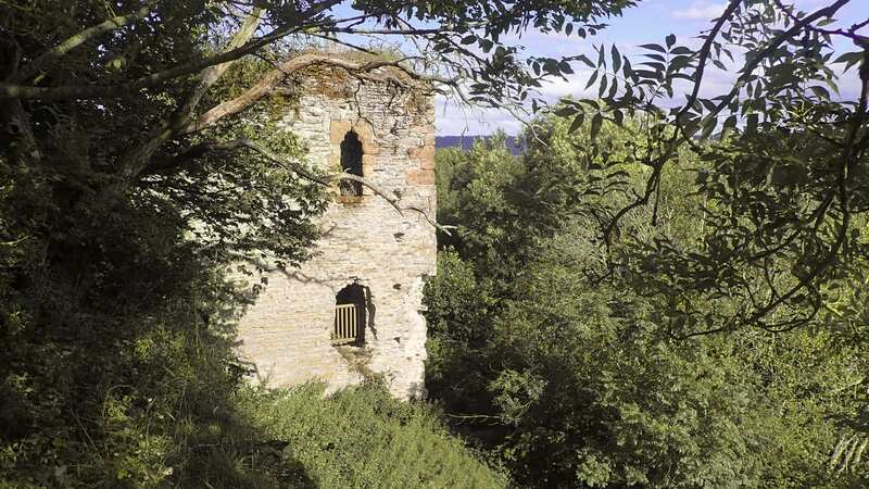 The historic Grade II-listed Wigmore Castle, in Herefordshire, is being offered for £450,000 (Image: Sunderlands / SWNS)