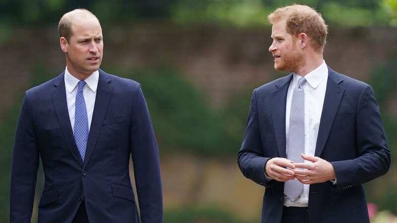 William did not see Harry on his recent return to the UK (Image: Getty Images)
