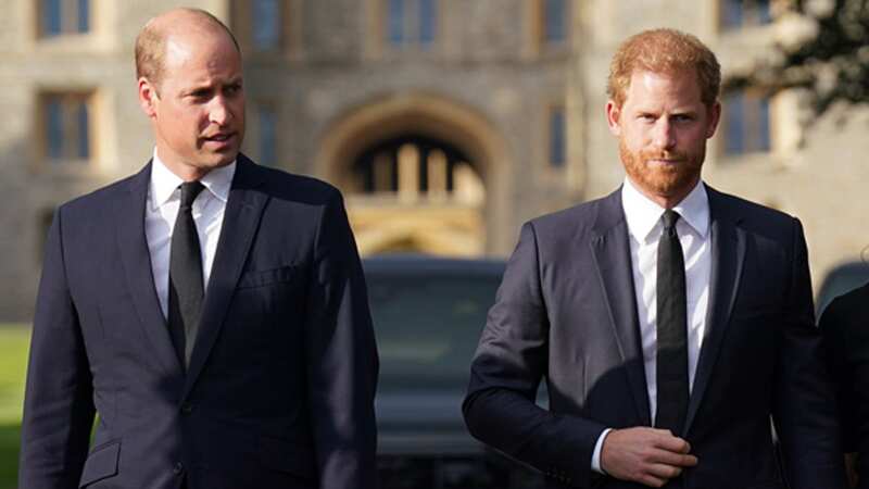 Harry and William did not meet during the whirlwind visit