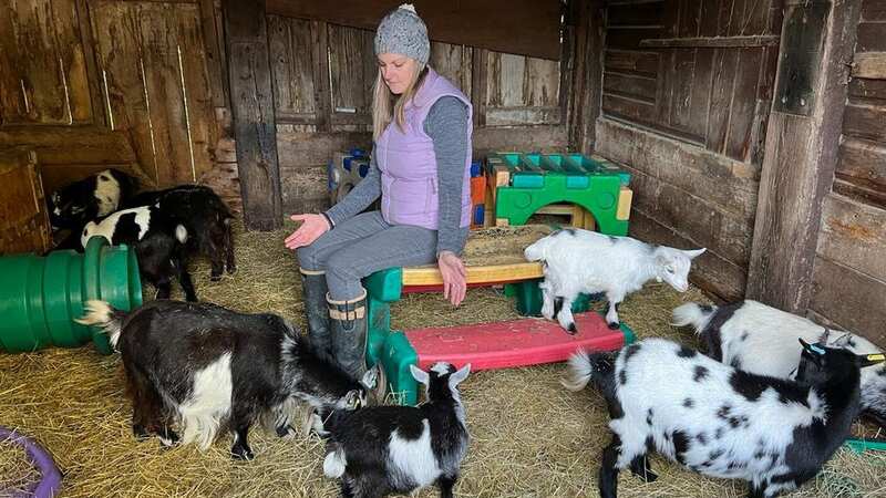 Gemma Cantillon gave up her corporate job to practice reiki on animals (Image: Tom Maddick / SWNS)
