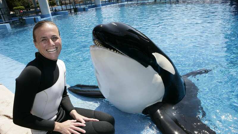 Dawn Brancheau with a killer whale called Nalani during March 2009 in Orlando, Florida (Image: Barry Bland / Barcroft Media)