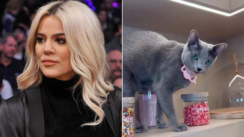 Khloe Kardashian has been accused of Facetuning her cat