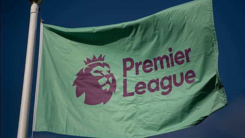 The 20 Premier League clubs are set to hold an emergency meeting (Image: Getty Images)