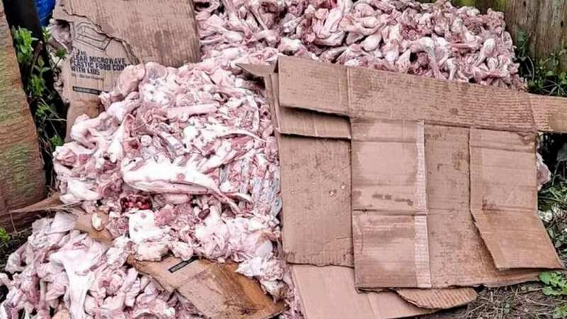 Disgusting piles of discarded raw meat has been left almost daily in a residential street in Luton