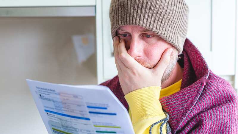 The new Ofgem price cap for April has been announced (Image: Getty Images/iStockphoto)