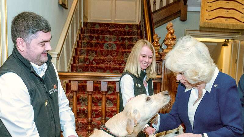 Camilla is patron of the Medical Detection Dogs charity (Image: Getty Images)