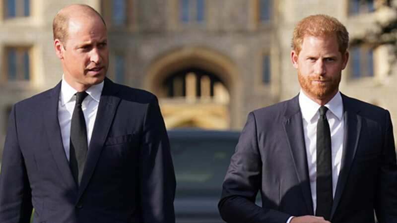 Prince WilliamÂ is believed to be "appalled at the idea" ofÂ Prince Harry