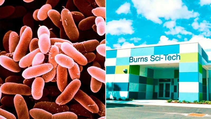 The child who died of meningitis attended Burns Science and Technology Charter School in Florida