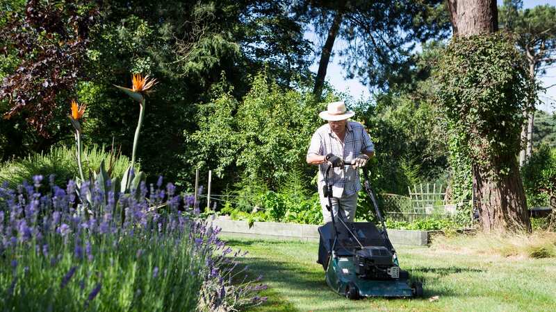 Exact date you should mow lawn (Stock Photo) (Image: Getty Images/Collection Mix: Subjects RF)