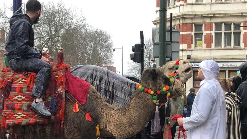 Newham High Street was left with a fascinating encounter with two camels earlier this week (Image: Monega Primary School/X)