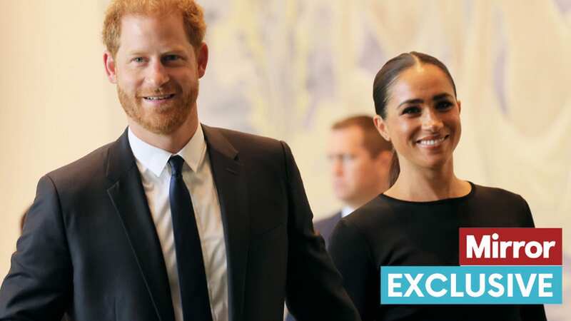 Prince Harry and Meghan Markle famously have a huge Netflix deal (Image: Getty Images)